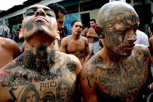 MS-13 Mara Salvatrucha